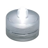 Box of 10 Acolyte Submersible Floralyte White