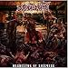 Houwitser-Orchestra Of Sickness