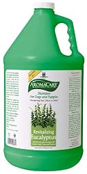 PPP AromaCare Revitalizing Eucalyptus Shampoo - One Gallon, Dilutes 32-1