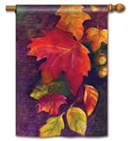 Turning Leaves Fall House Flag