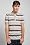 Short Sleeve Pique Small Rugby Stripe Polo