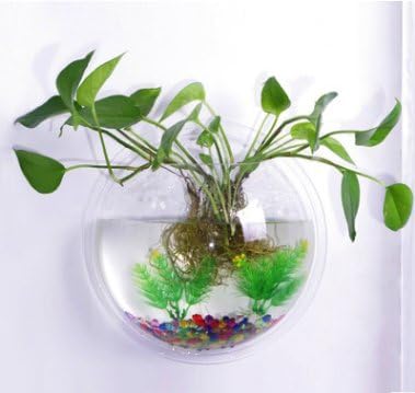 Jaggerpet Fish Bowl Acrylic Small Fish Bowl For Hermit Crabs Planting Terrariums Aquatic Plant.