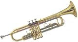 Musical Instruments : Roy Benson BTR202 Deluxe Trumpet Outfit