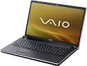 Sony VAIO VGN-AW31S/B.G4 18.4 Zoll Notebook (Intel Pentium P8700 2.5GHz, 4GB RAM, 500GB HDD, NVidia GeForce 9600M GT, <acronym title=