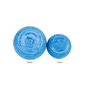 EcoWise Posture Ball