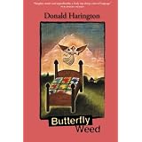 Butterfly Weed