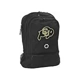 DadGear Collegiate Series Diaper Backpack