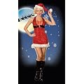 Naughty Sequin Santa Girl Costume
