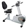 Stamina Elite Total Body Recumbent Bike