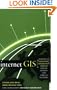 Internet GIS: Distributed Geographic Information Services for the Internet and Wireless Network