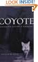 Coyote: Seeking the Hunter in Our Midst