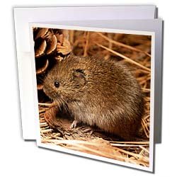 Rodent - Mouse - Greeting Cards-12 Greeting Cards with envelopes