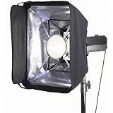 Westcott Master's Brush Lighting Kit with 16 x 22 Soft Box 1