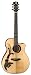 Luna Phoenix Artist Series Guitar,