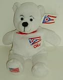 Ohio The Buckeye State Plush Beanie Bear with US Flag