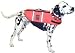 Kyjen Outward Hound Pet Saver Life Jacket, Medium, Orange