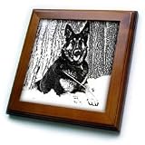 Dogs German Shepherd - German Shepherd - Framed Tiles