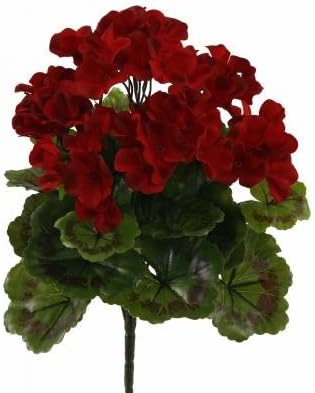 Red Outdoor Rated Geranium Bush