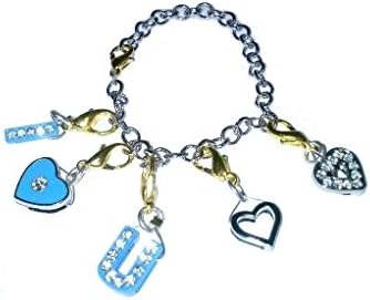 Clip on Panda and Penguin Charm for Bracelets, Bookbags and Key Ring, Lobster Clasp