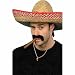 Extra
Large
Coloured
Straw
Sombrero
