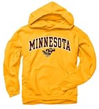 Minnesota Golden Gophers Youth Gold Perennial II Hooded Sweatshirt
