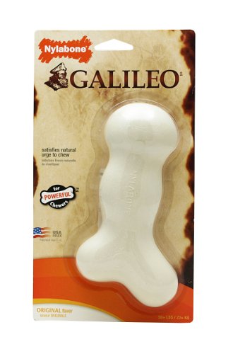 Nylabone Galileo Bone Dog Chew Toy, Souper
