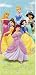 Disney's Princess Fairy Tale Friends Doorway Curtain