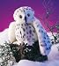 Folkmanis Snowy Owl Puppet