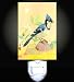 Blue Jay Decorative Night Light