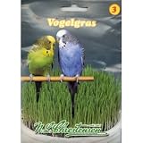 Eigenschaften Chrestensen  / Vogelgras Saat