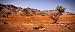 Outback Flinders Ranges South Australia - 36"W x 15"H - Peel and Stick Wall Decal by Wallmonkeys