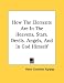 How the Elements Are in the Heavens, Stars, Devils, Angels, and in God Himself