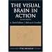 Great Books About Vision