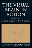 The Visual Brain in Action (Oxford Psychology Series)