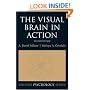 The Visual Brain in Action (Oxford Psychology Series)
