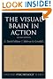 The Visual Brain in Action (Oxford Psychology Series)