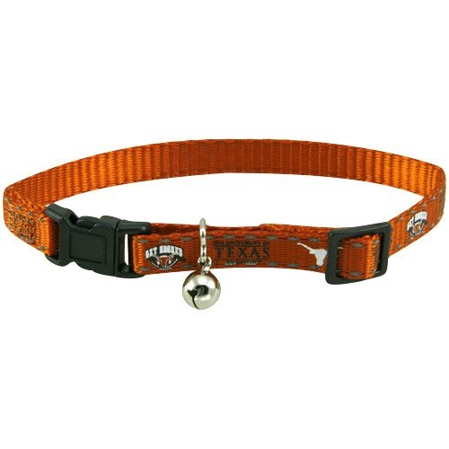 Texas Longhorns Focal Orange Breakaway Cat Collar