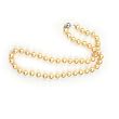 AugustinaJewelry Single Strand 18 Inch 8MM Golden Color Shell Pearl Necklace