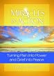 Miracles In Action