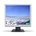 Acer AL1917C 48,3 cm (19 Zoll) TFT Monitor silber/schwarz VGA (Kontrast 700:1, 5 Ms Reaktionszeit)