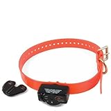 IMAGE OF SportDog Deluxe Bark Collar