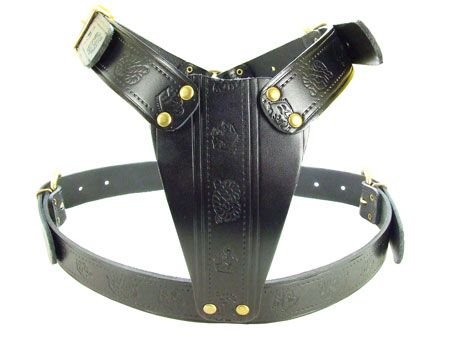Black Leather Bull Terrier Dog Harness