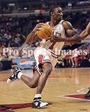 Ben Gordon Chicago Bulls 8x10 Photo