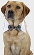 Black Sequined Dog Tuxedo Bow Tie Collar Large