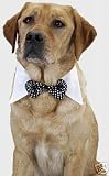 Black Sequined Dog Tuxedo Bow Tie Collar - Large