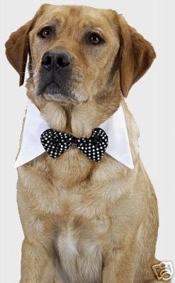 Dog Tuxedo Bow Tie Fancy Dog Collar Medium