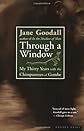 Through a Window