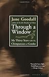 Through a Window