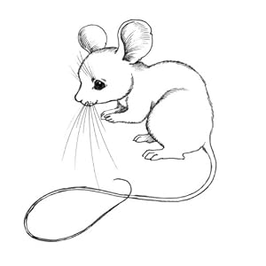 Mouse Stamp