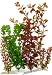 Water Wonders Plant Multi-pack 1